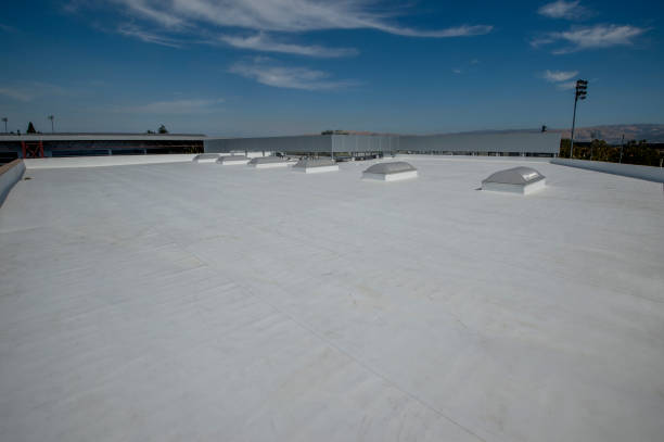 Best Green or Eco-Friendly Roofing Solutions  in Port Huron, MI