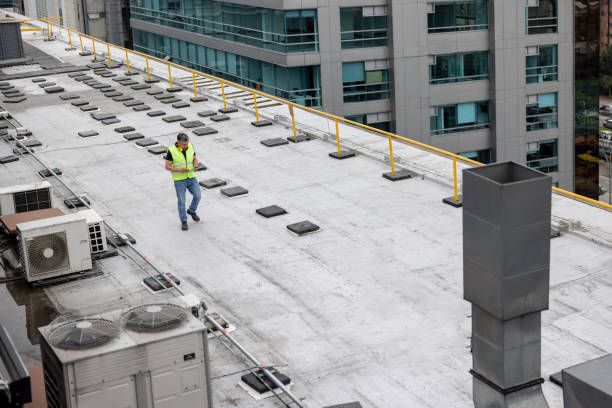 Best Asphalt Shingle Roofing  in Port Huron, MI