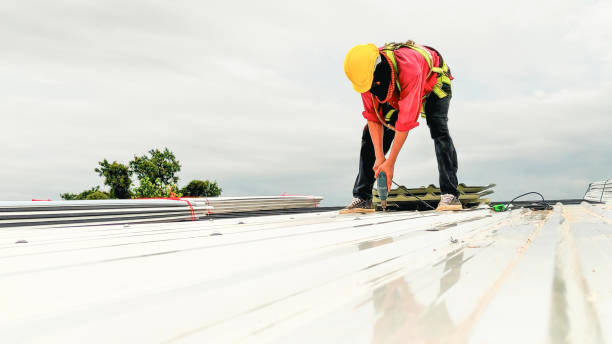 Best Rubber Roofing (EPDM, TPO)  in Port Huron, MI