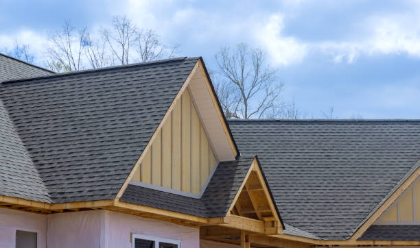 Best Chimney Flashing Repair  in Port Huron, MI