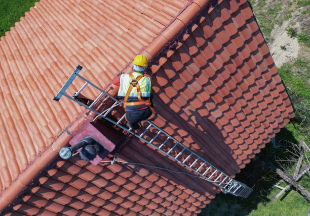 Best Solar Panel Roofing Installation  in Port Huron, MI