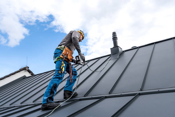 Best Metal Roofing Installation  in Port Huron, MI
