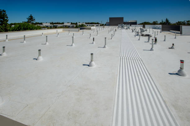 Best Green or Eco-Friendly Roofing Solutions  in Port Huron, MI